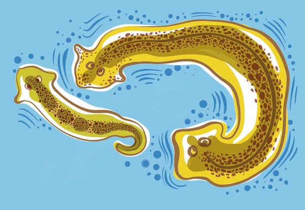 Illustration of animal-like cells swimming.