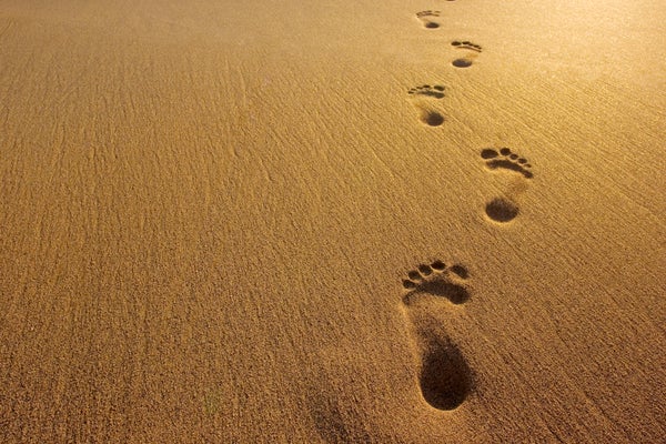Footprints in golden sand on beach