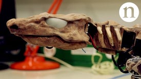 Bringing a Fossil to Life: Reverse Engineering Locomotion